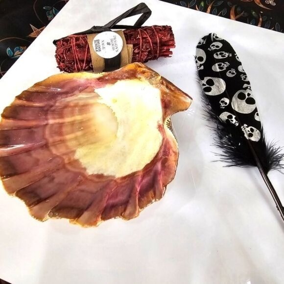 Dragon’s Blood Sage ✦ Tiger Shell ✦ Skull Feather ✦ Cleansing Smudge Set NWT - Picture 5 of 7